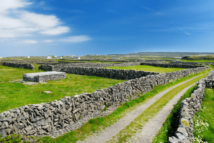 Aran Islands Sea Cruise Under Cliffs Of Moher Inis M R Colleen